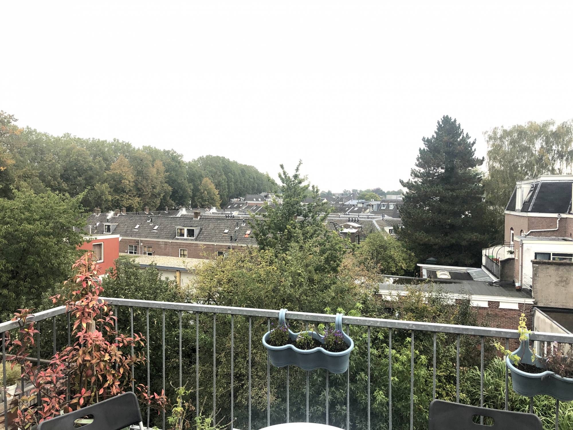 Photo 12 of Burgemeester Reigerstraat 34-B