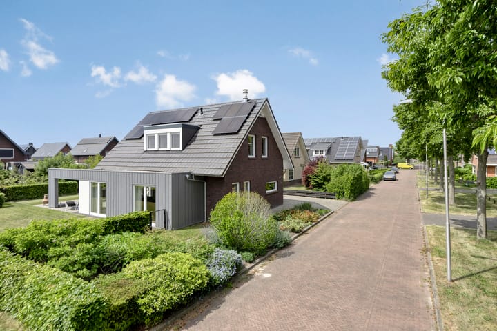 Photo 37 of Aurelia 74