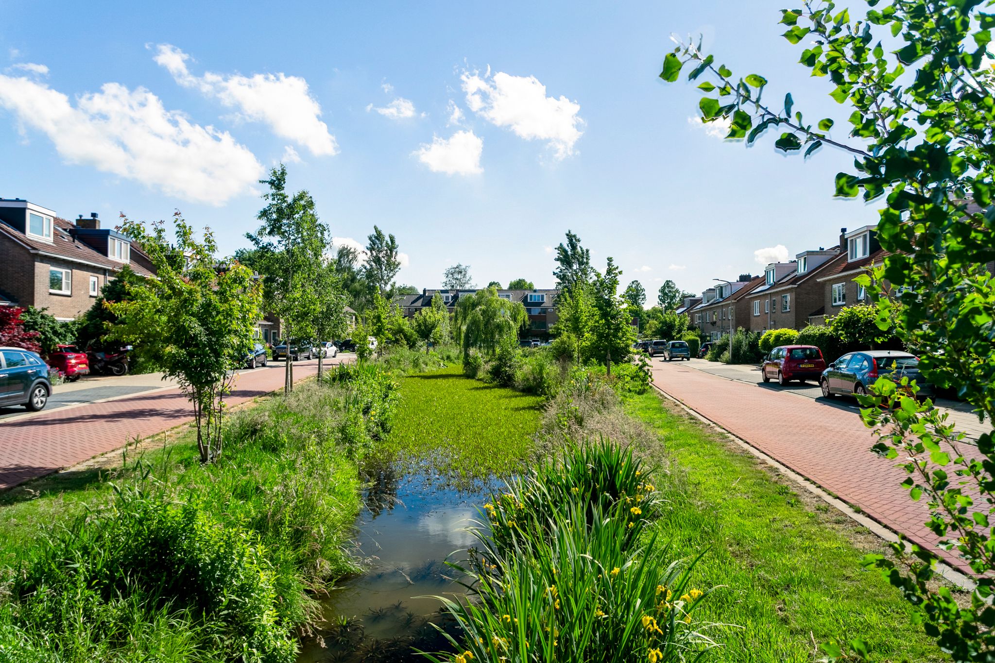 Foto 33 van Prinses Ireneplantsoen 19