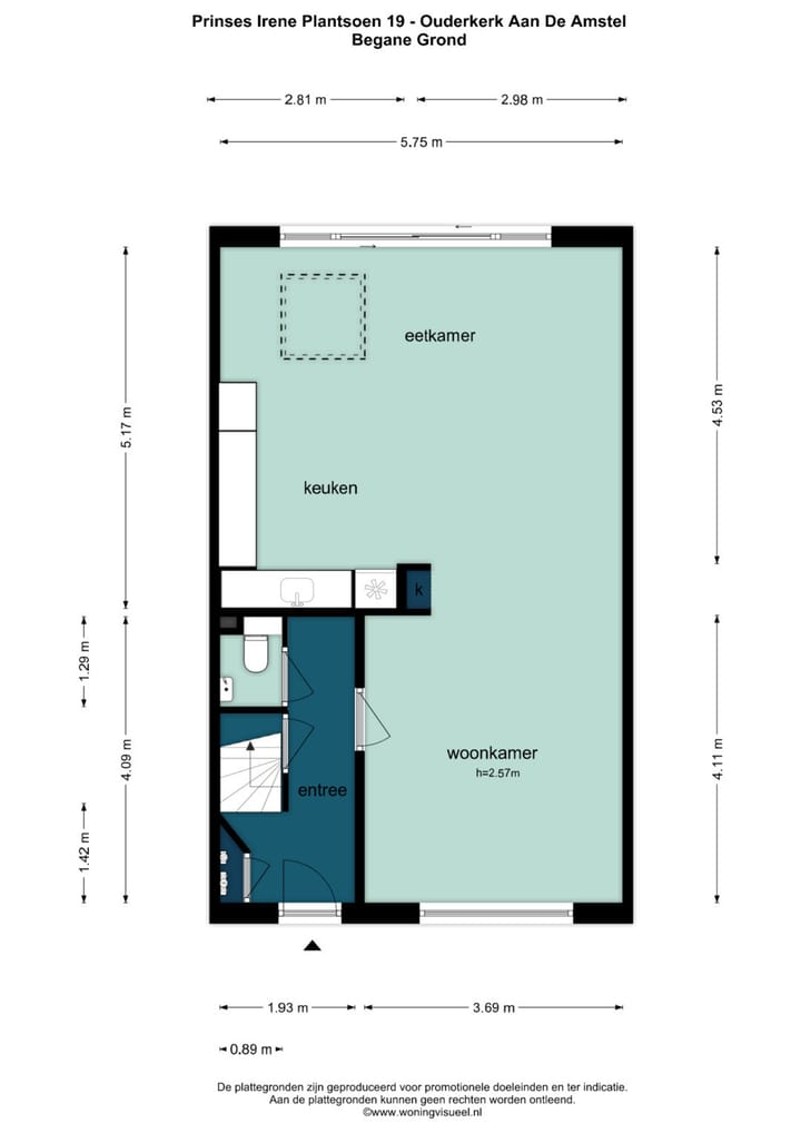 Foto 36 van Prinses Ireneplantsoen 19