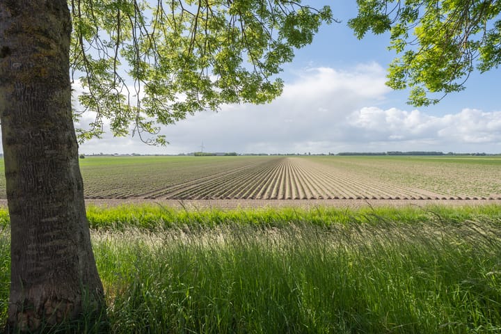 Foto 14 van Oudebildtdijk 32