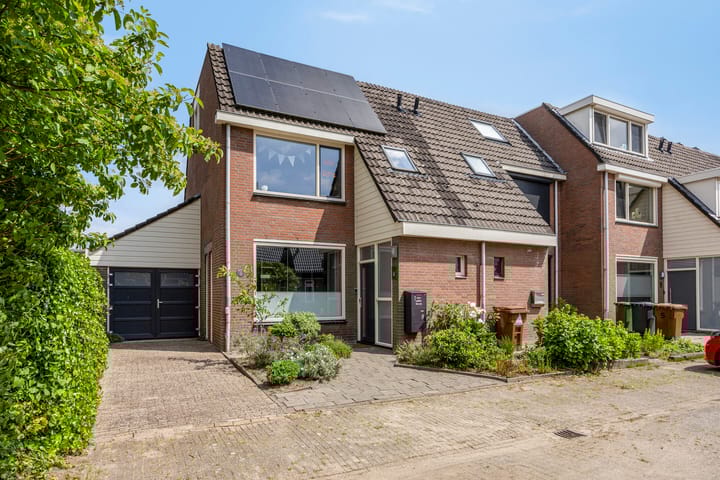 Bekijk foto van de Pinbalk 9