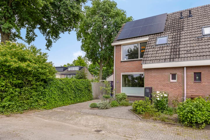 Foto 6 van de Pinbalk 9