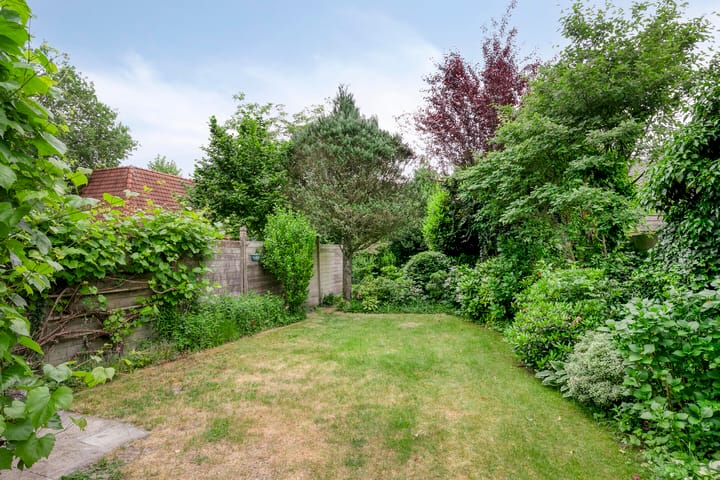 Photo 26 of Burgemeester van Dommelenlaan 4