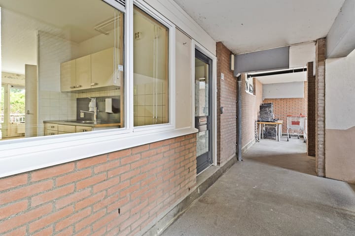 Foto 23 van Poolster 43