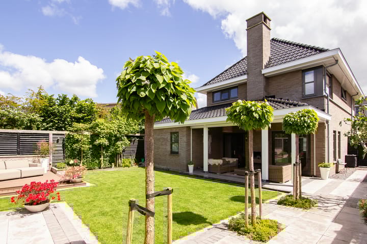 Foto 2 van Stroomwal 19