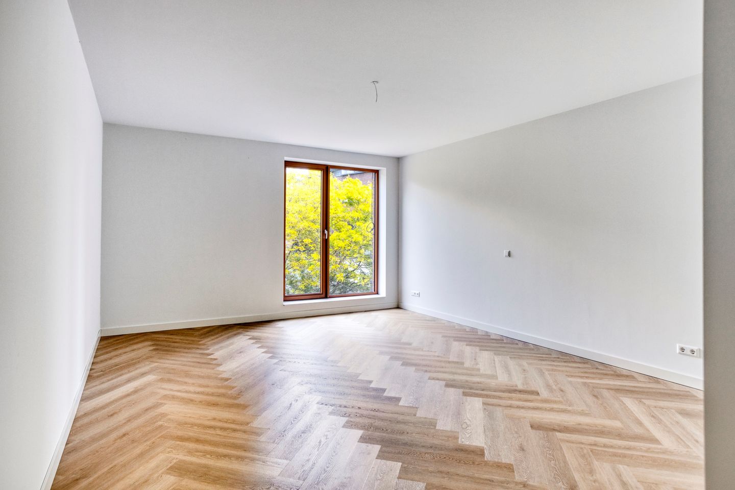 Foto 19 van Isabellastraat 44