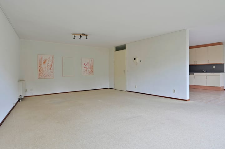 Foto 8 van Zeshoven 19