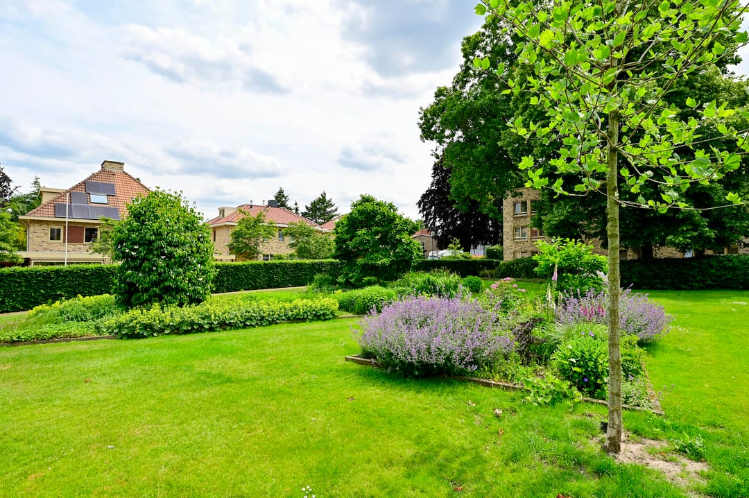 Foto 17 van Zeshoven 19