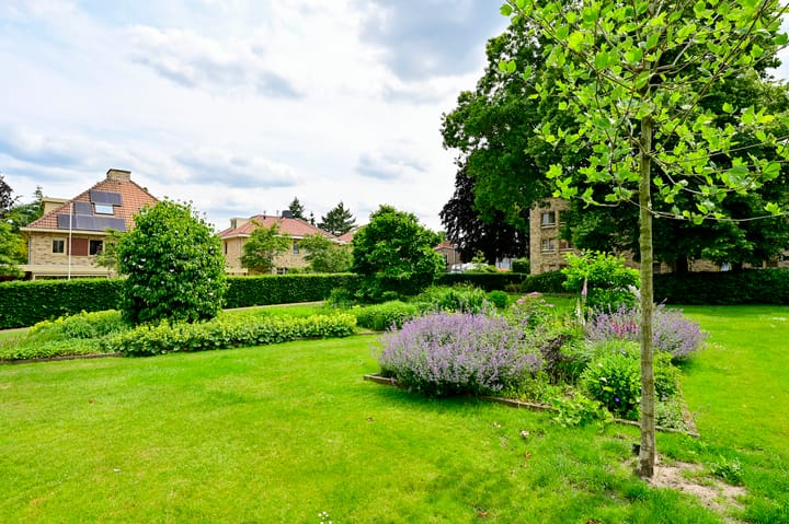 Foto 17 van Zeshoven 19