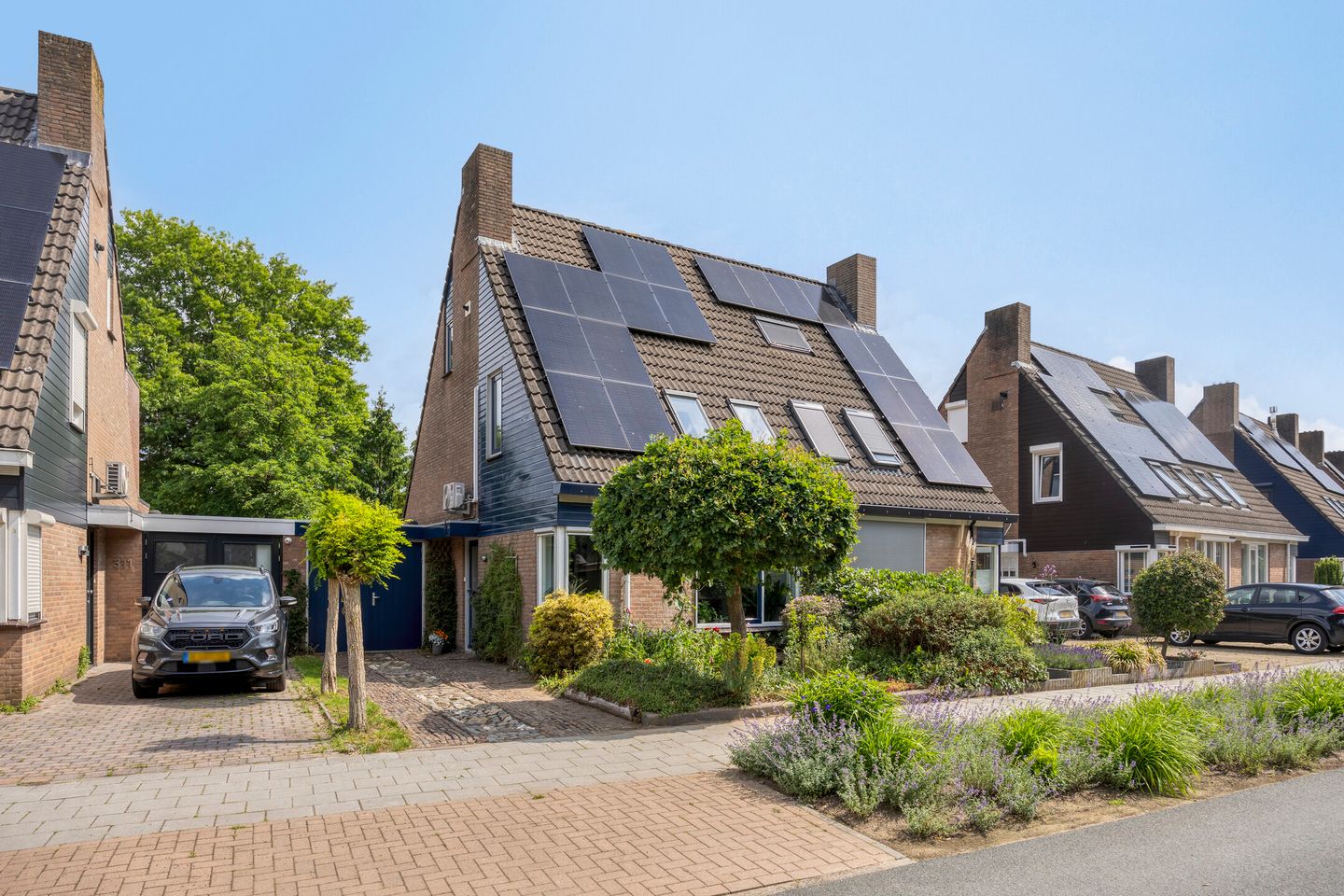 Leygraaf 309 main image