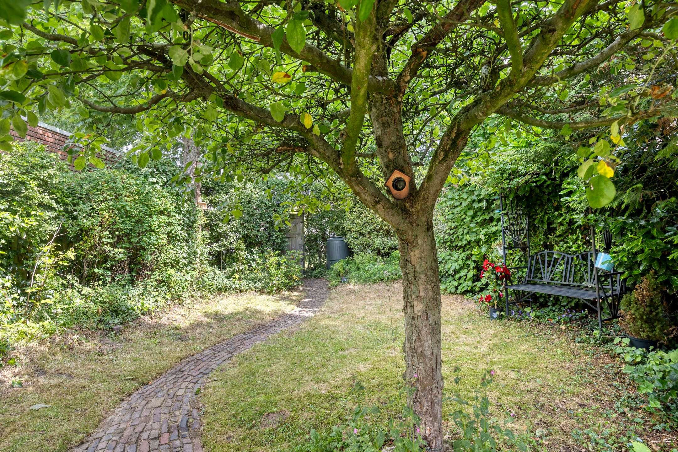 Foto 21 van Leygraaf 309