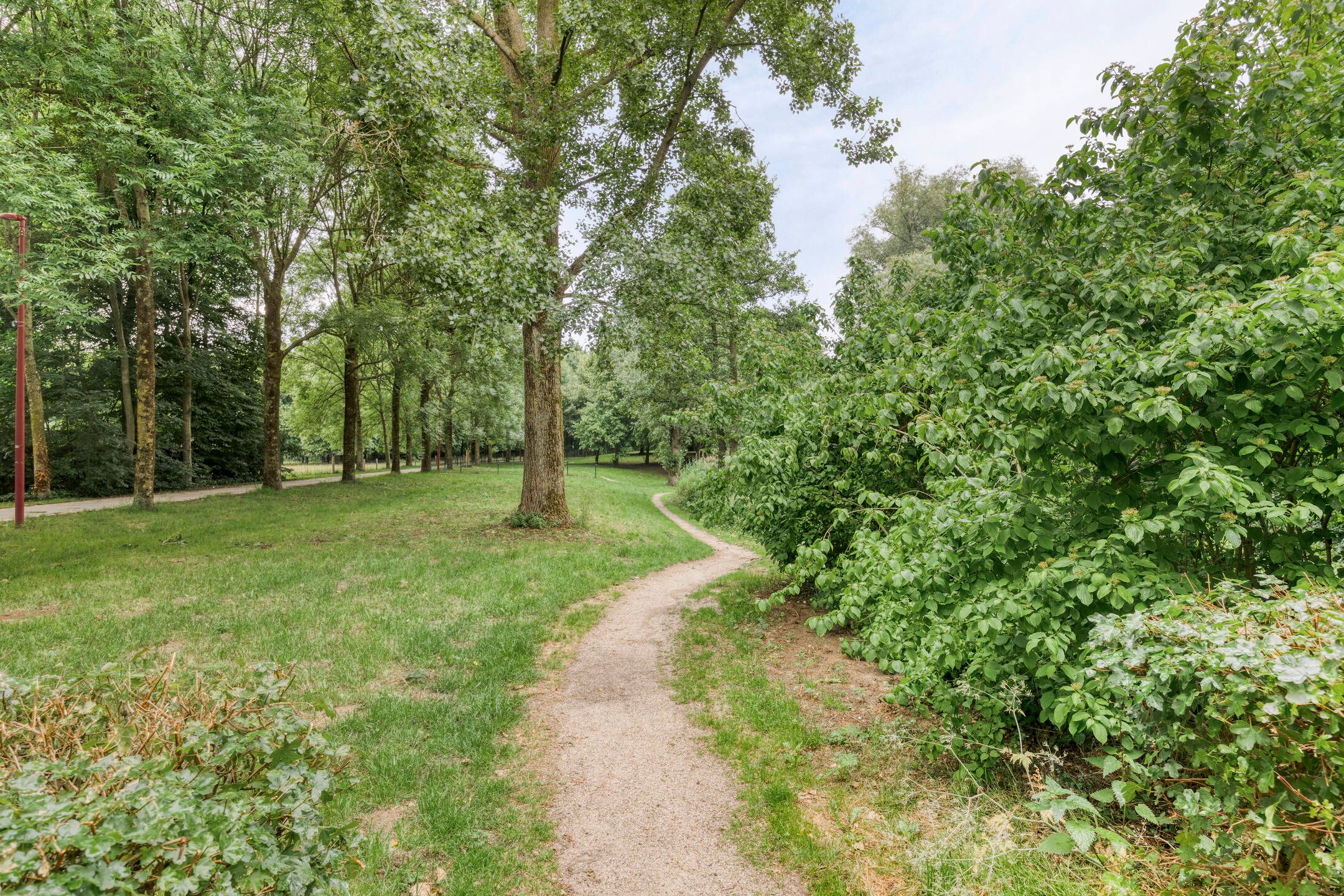 Foto 39 van Leygraaf 309