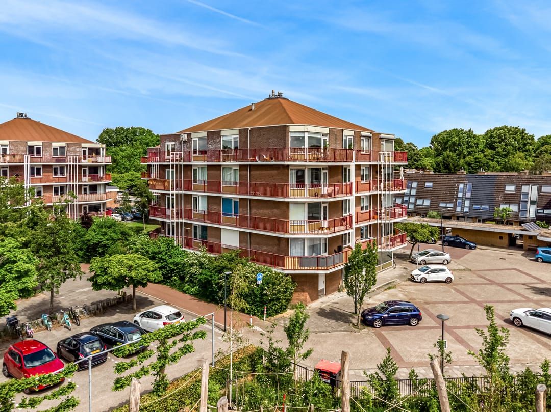 Foto 1 van Pluimgras 59