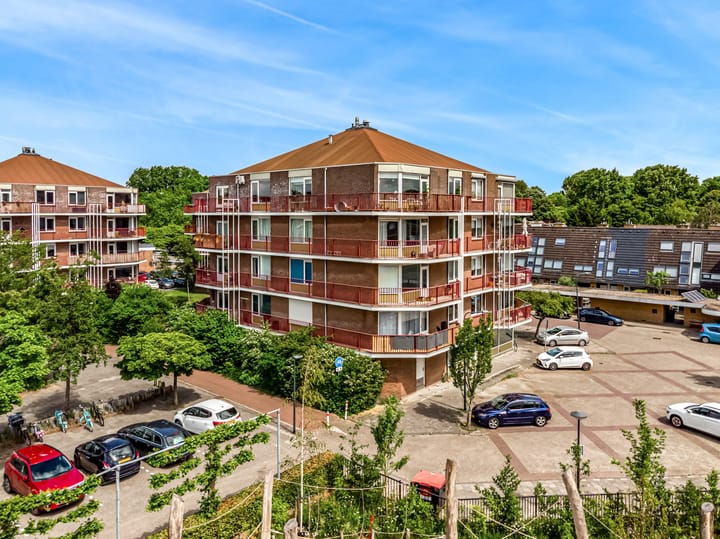 Foto 1 van Pluimgras 59