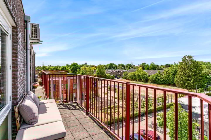 Foto 4 van Pluimgras 59