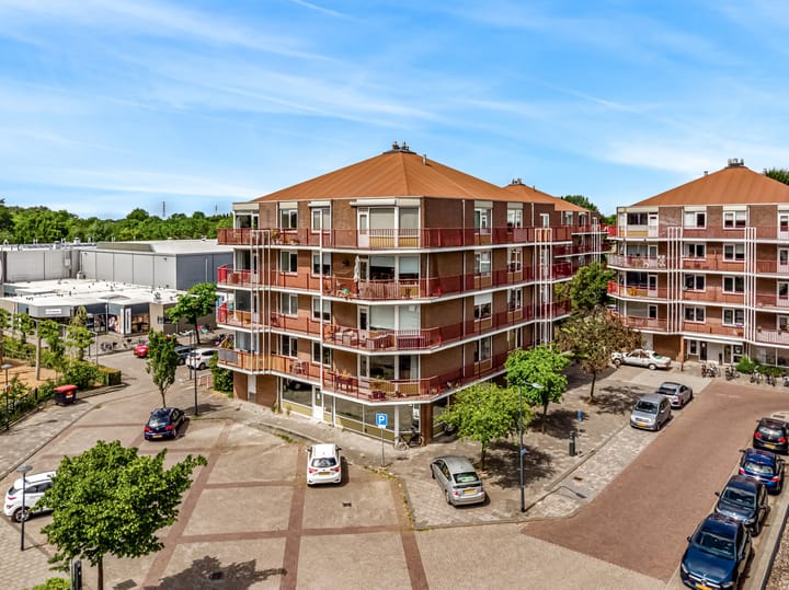 Foto 5 van Pluimgras 59