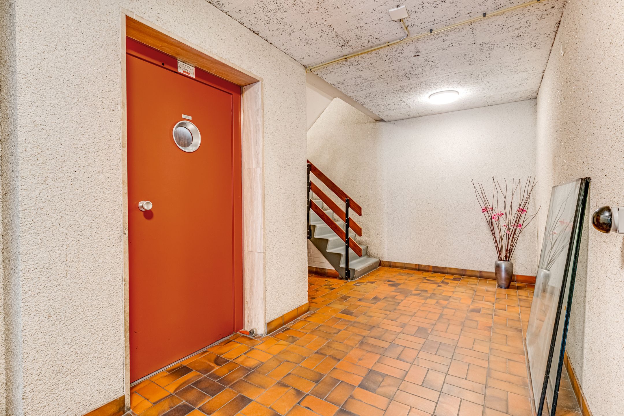 Foto 6 van Pluimgras 59