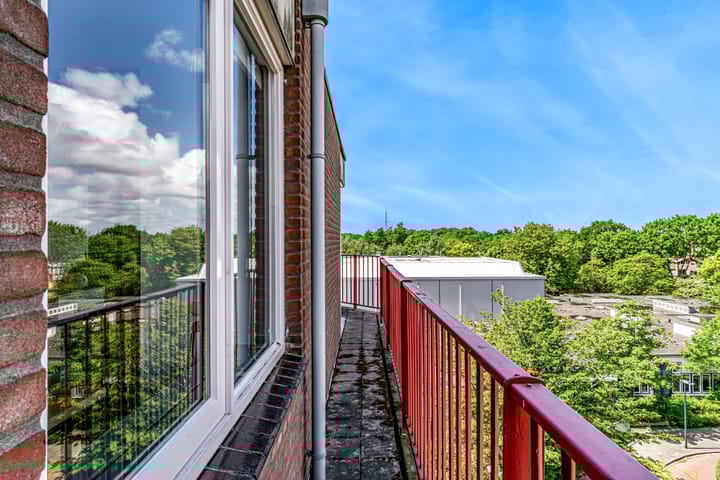 Foto 21 van Pluimgras 59