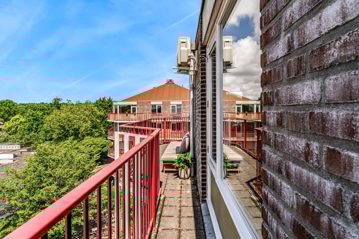 Foto 22 van Pluimgras 59