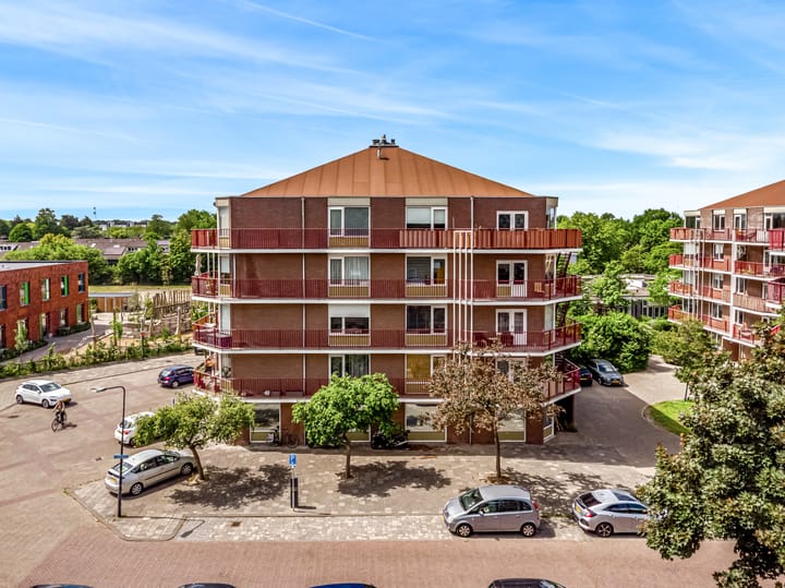 Foto 23 van Pluimgras 59