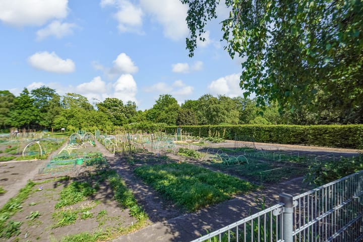 Foto 40 van Pippelingstraat 4