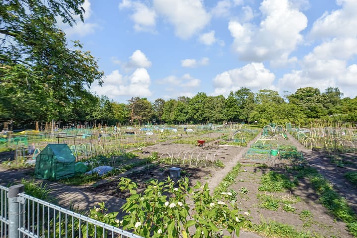 Foto 41 van Pippelingstraat 4