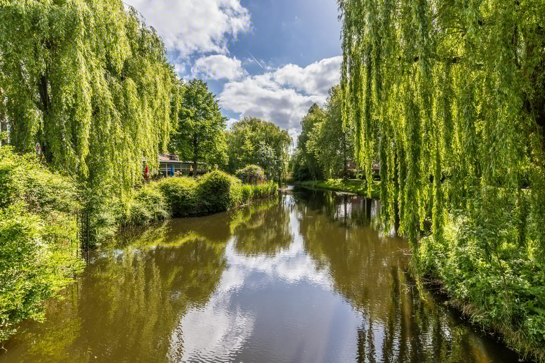 Photo 58 of De la Marplein 31