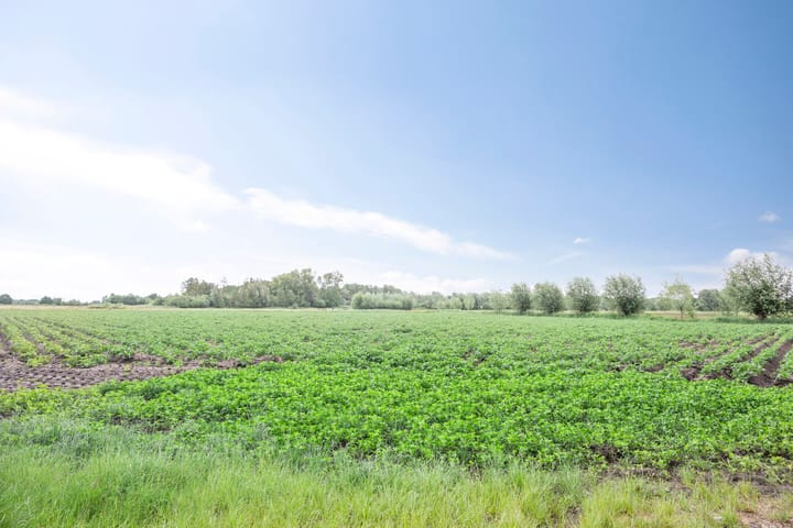 Foto 41 van Schansweg 4