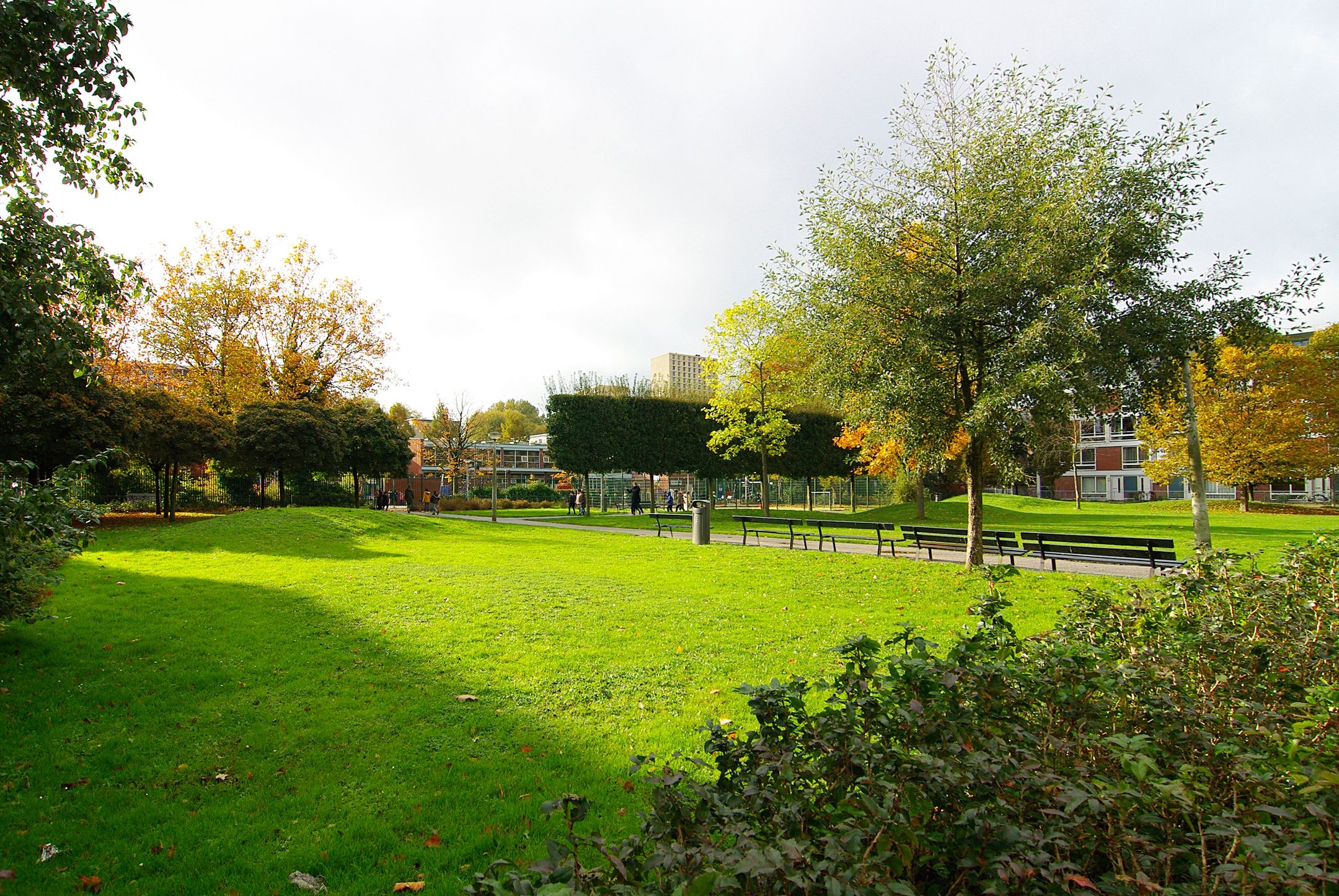 Foto 27 van Suze Robertsonstraat 7