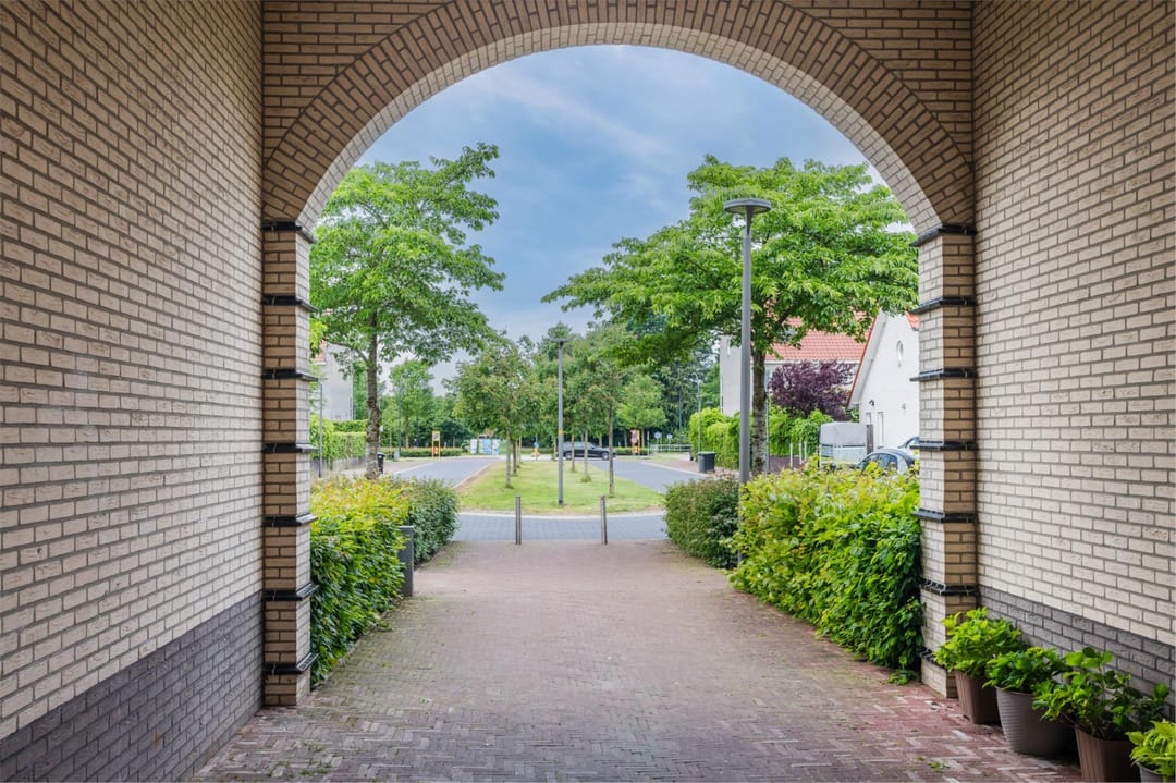 Photo 31 of Lover 182