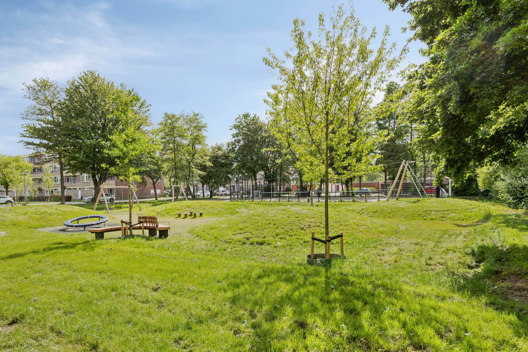 Foto 33 van Abeelstraat 38