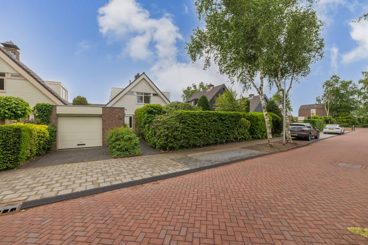 Foto 39 van Witte de Withlaan 26