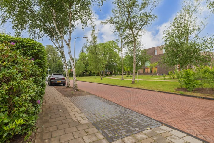 Foto 40 van Witte de Withlaan 26