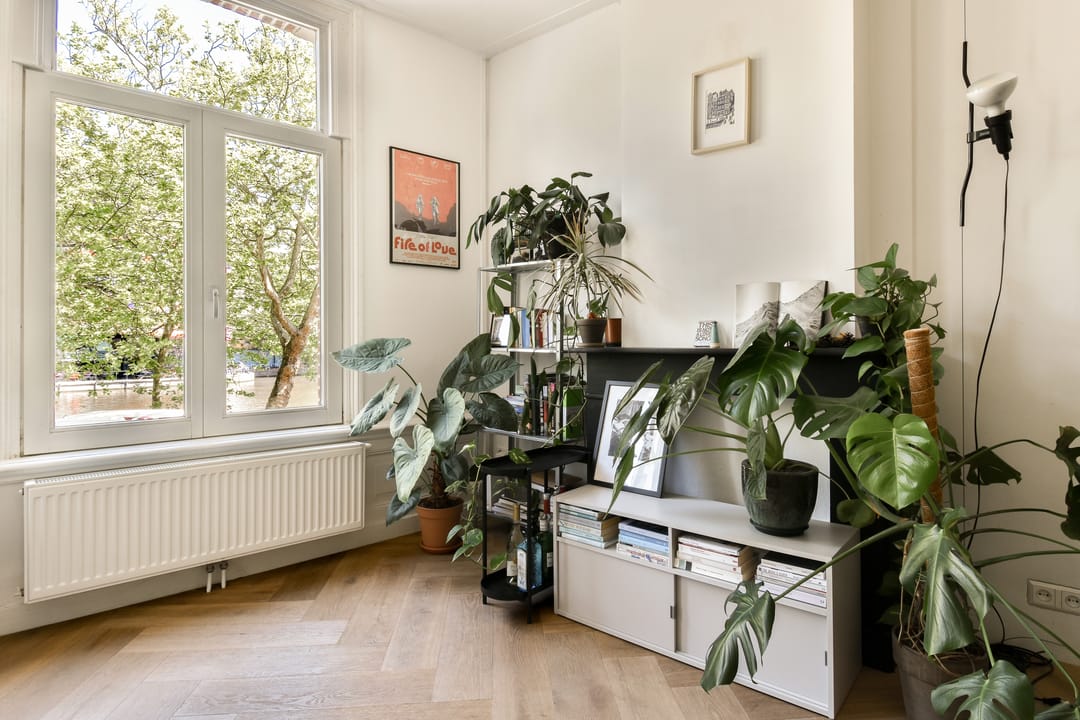 Foto 8 van Nassaukade 302-1