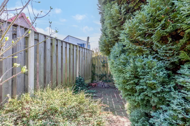 Foto 19 van Wilhelminastraat 27