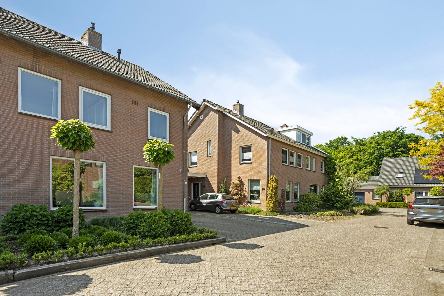 Foto 5 van de Haagbeuk 18