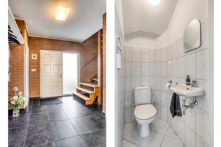 Foto 7 van de Haagbeuk 18