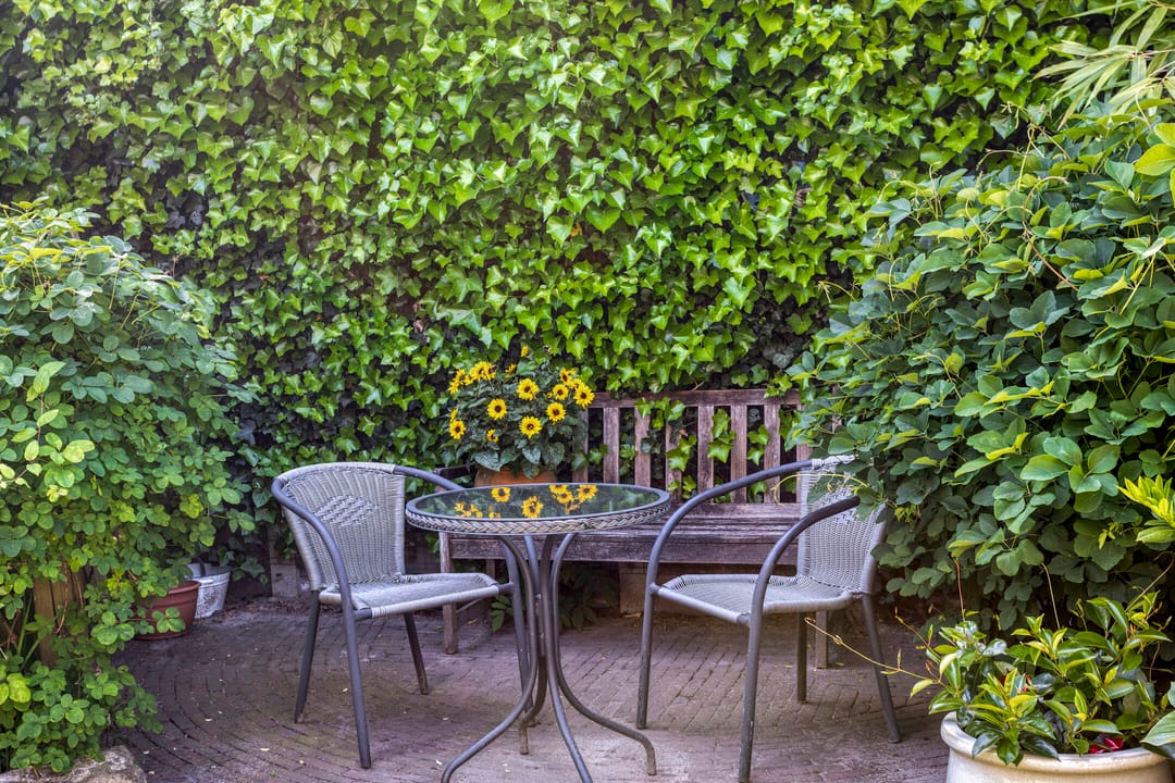 Foto 23 van de Haagbeuk 18