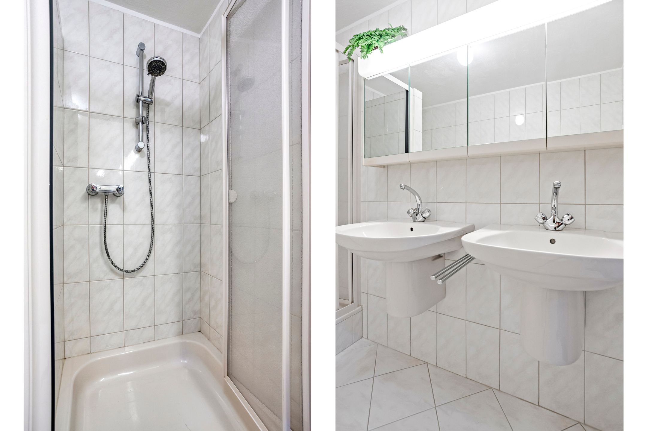 Foto 33 van de Haagbeuk 18