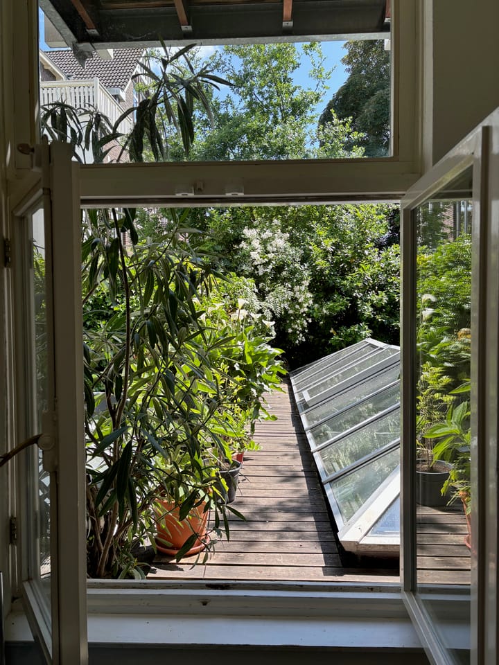 Foto 5 van Nieuwe Binnenweg 338-C