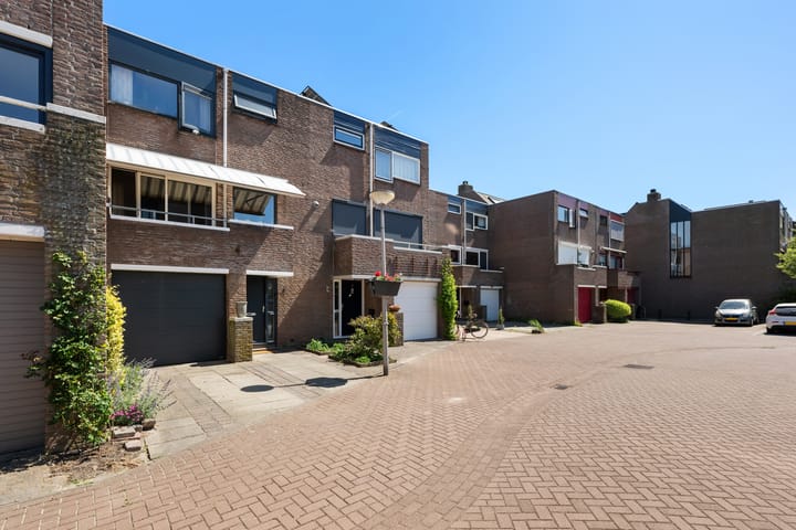 Photo 2 of Watertorkruid 3