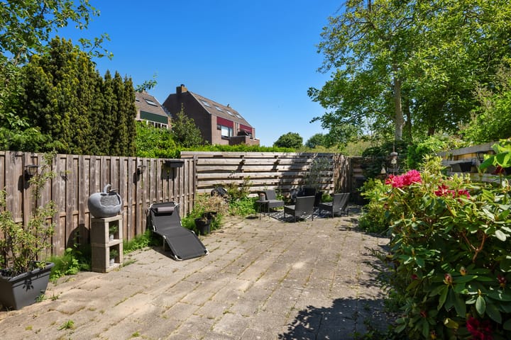 Photo 3 of Watertorkruid 3