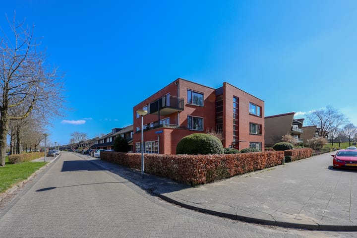 Foto 29 van Gerard Doustraat 23