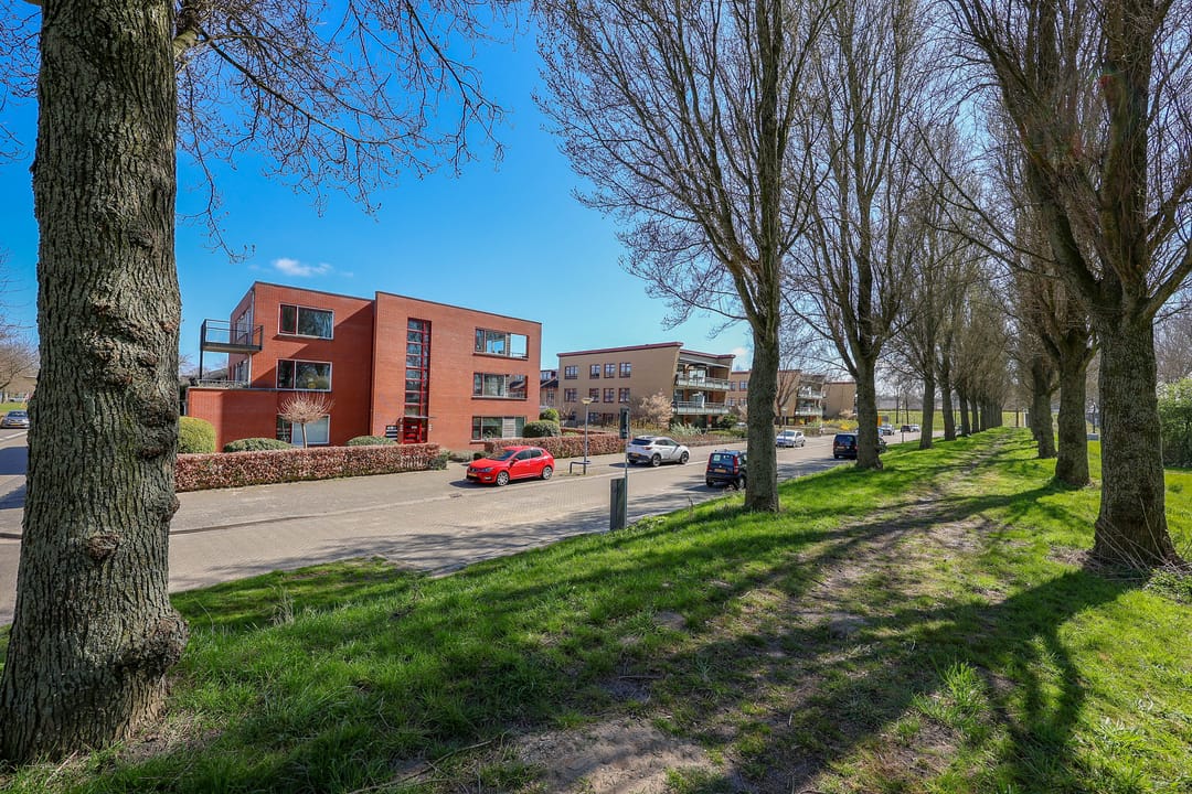 Foto 31 van Gerard Doustraat 23