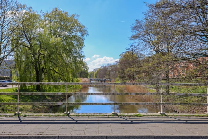 Foto 35 van Gerard Doustraat 23