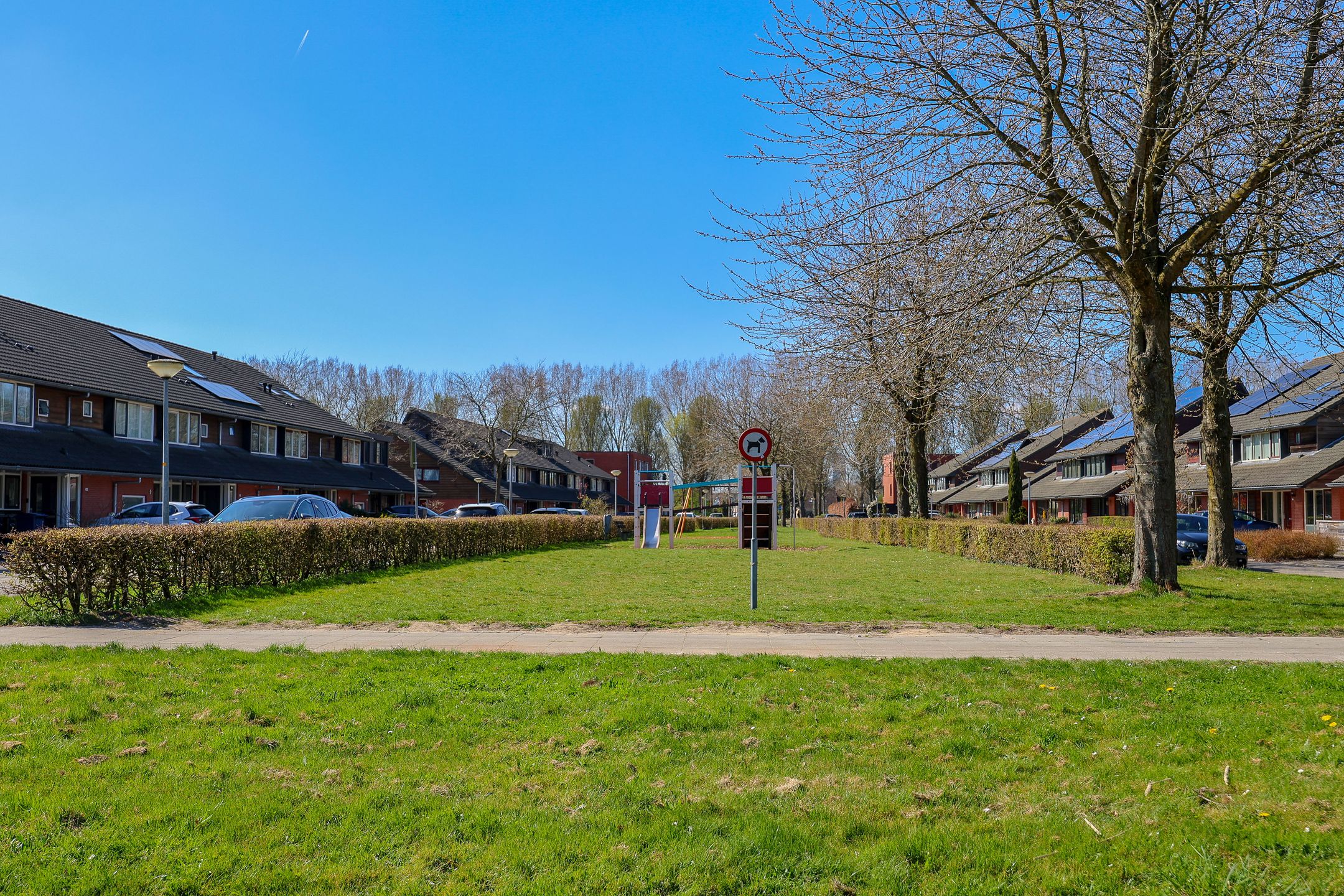 Foto 36 van Gerard Doustraat 23