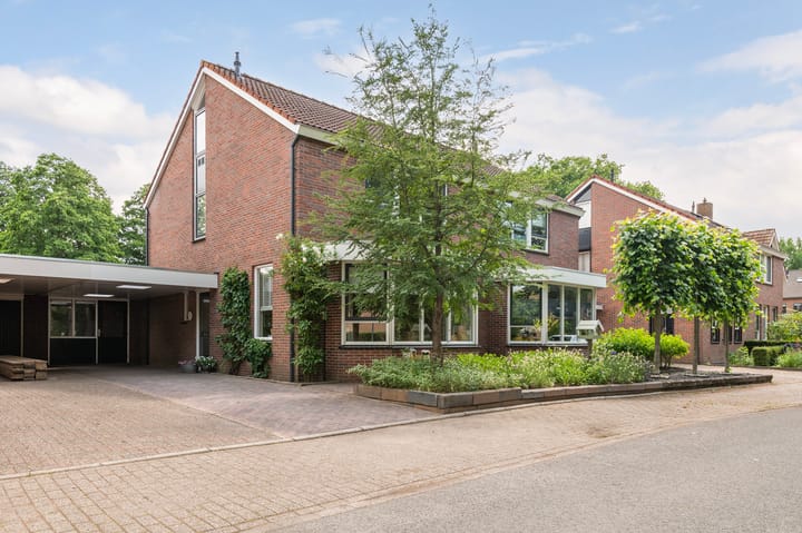 De Hare 31