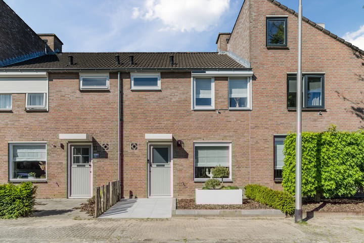 Photo 1 of Koekoeksbloem 39