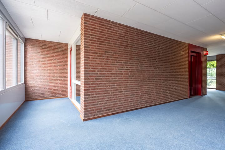 Photo 6 of Insula 91